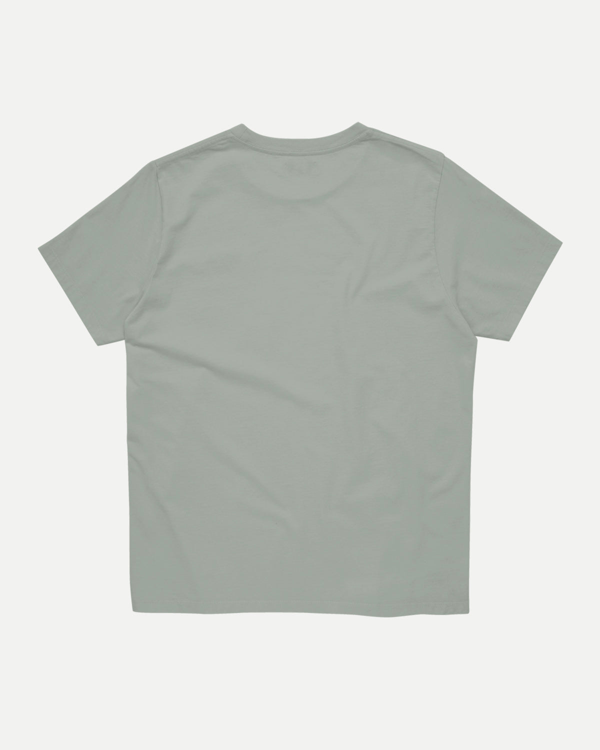Back of the sage Waaier T-shirt