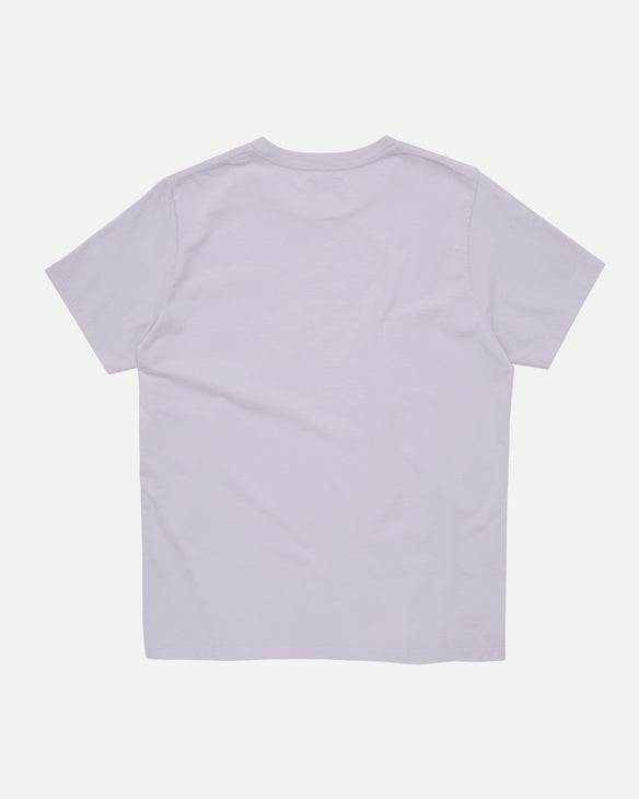Waaier - Purple Ash